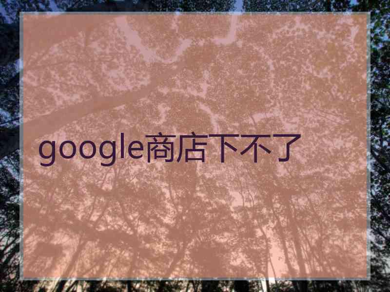 google商店下不了