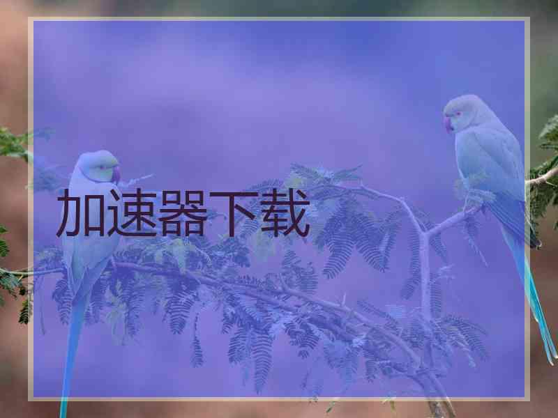 加速器下载