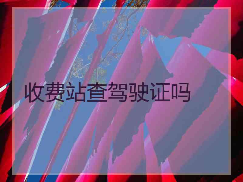 收费站查驾驶证吗