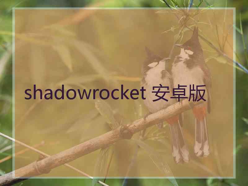 shadowrocket 安卓版