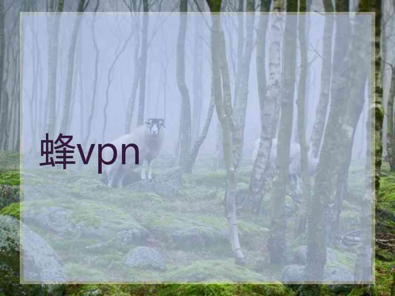 蜂vpn