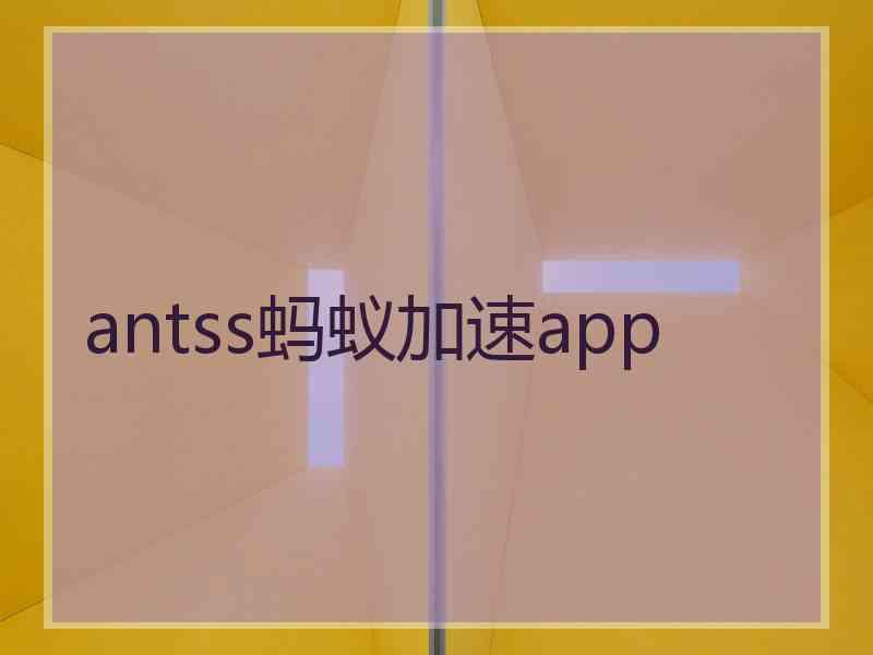 antss蚂蚁加速app