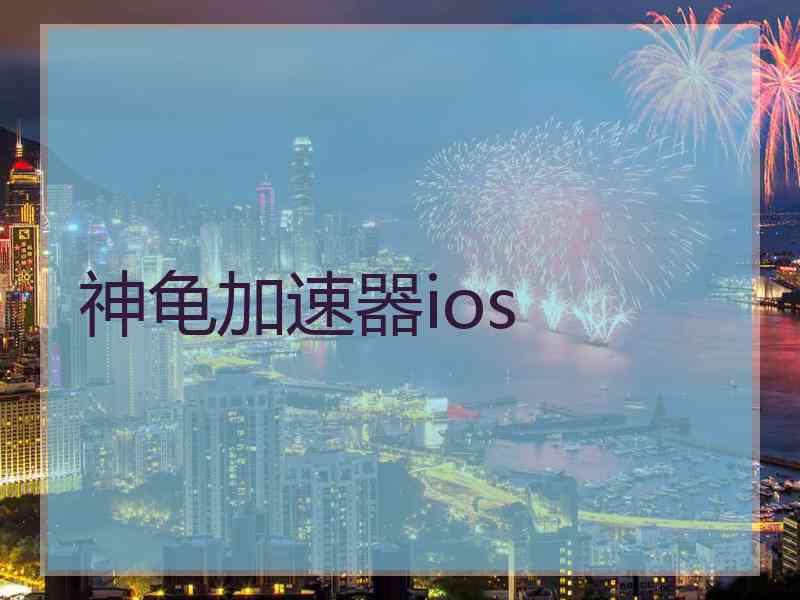 神龟加速器ios