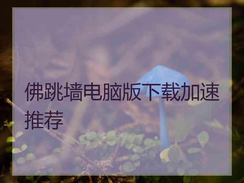 佛跳墙电脑版下载加速推荐