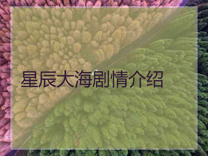 星辰大海剧情介绍