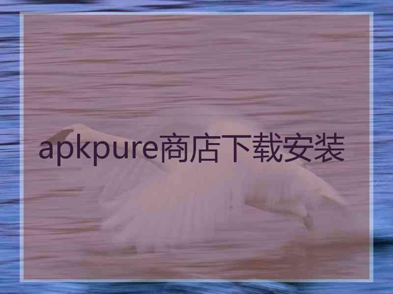 apkpure商店下载安装