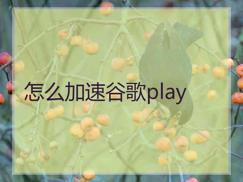 怎么加速谷歌play