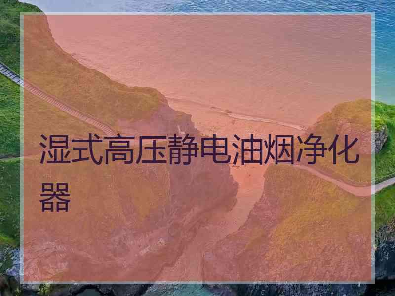 湿式高压静电油烟净化器