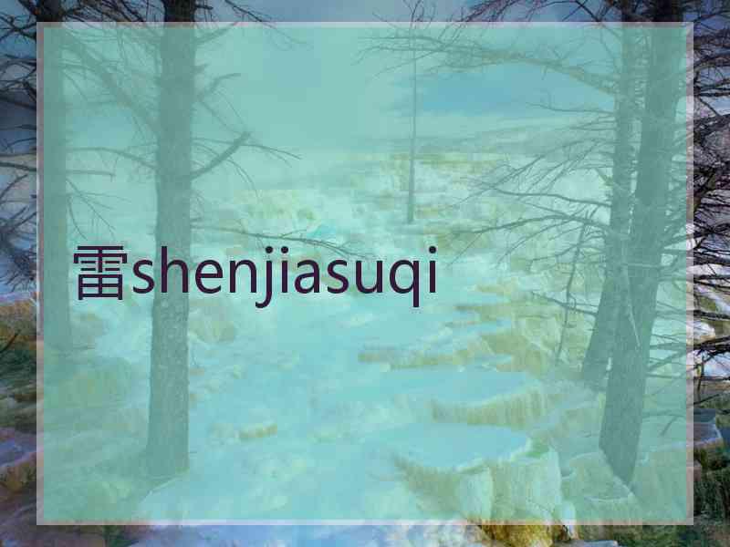 雷shenjiasuqi