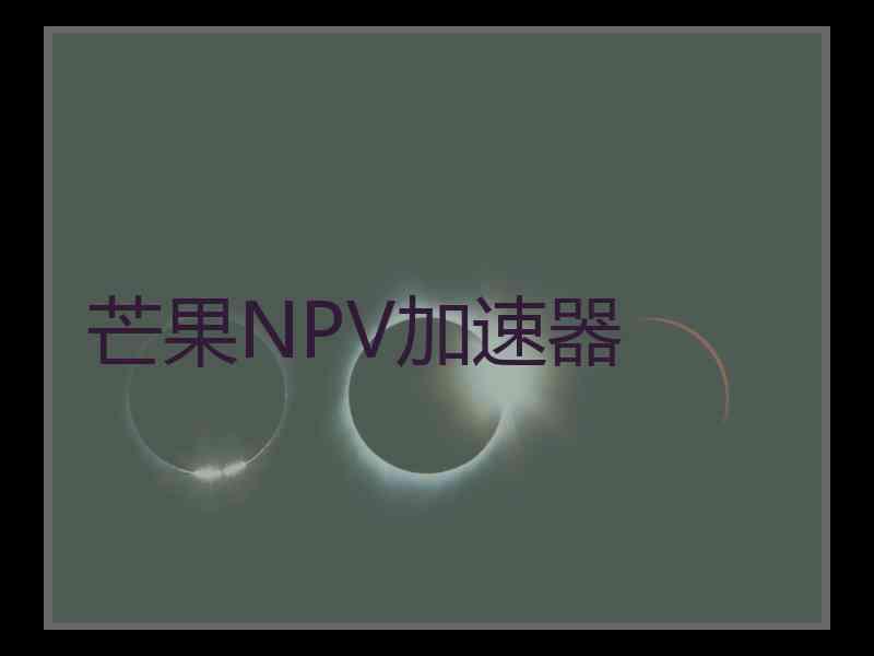 芒果NPV加速器