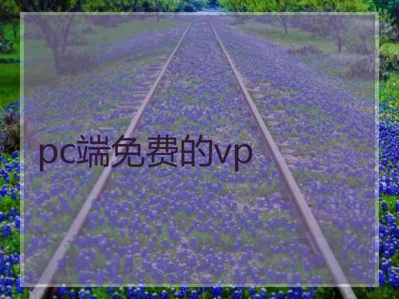 pc端免费的vp