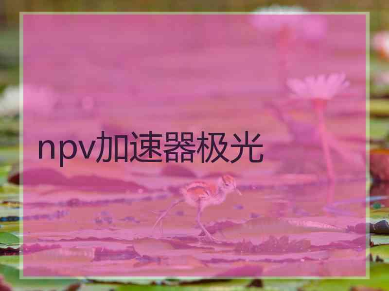 npv加速器极光