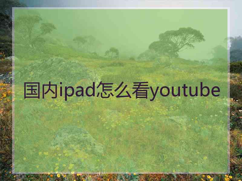 国内ipad怎么看youtube