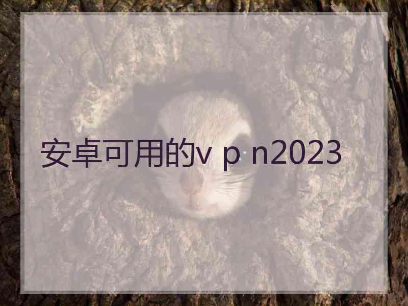 安卓可用的v p n2023