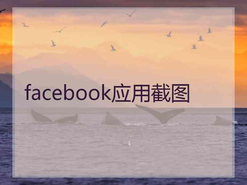 facebook应用截图