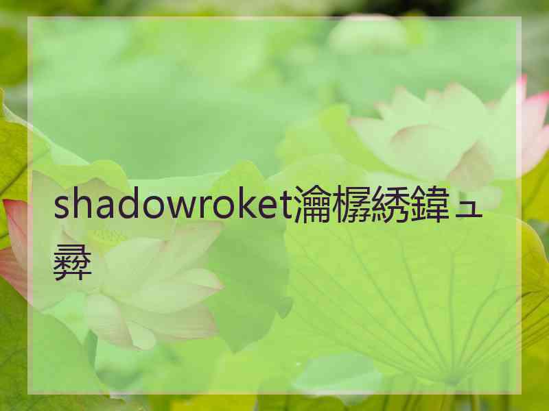 shadowroket瀹樼綉鍏ュ彛