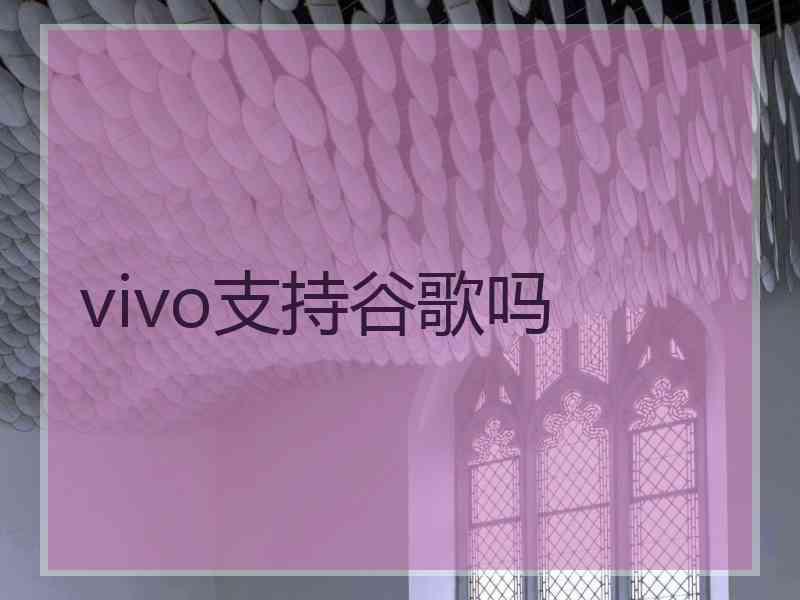 vivo支持谷歌吗