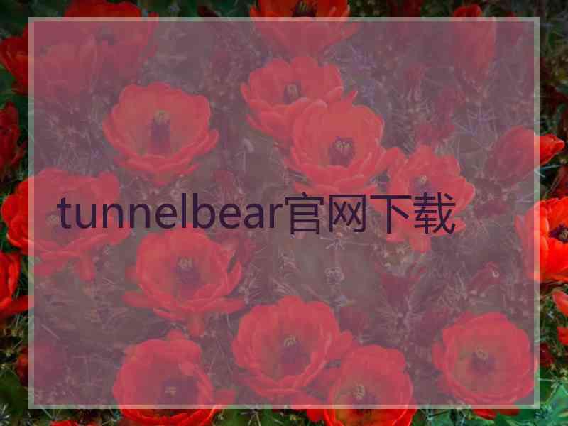 tunnelbear官网下载