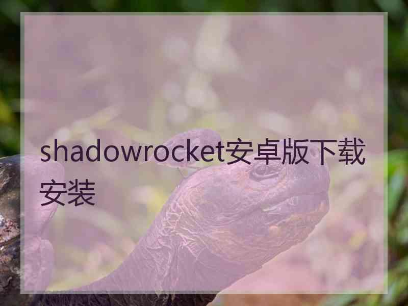 shadowrocket安卓版下载安装