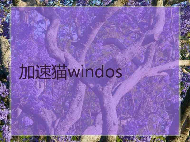 加速猫windos