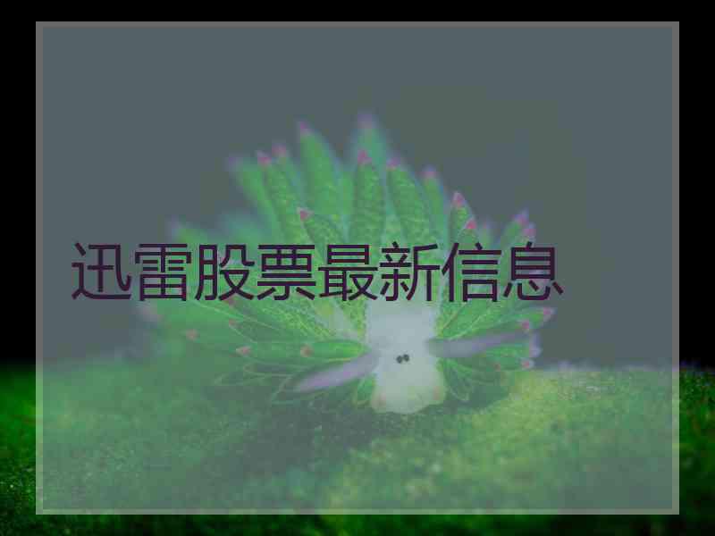 迅雷股票最新信息