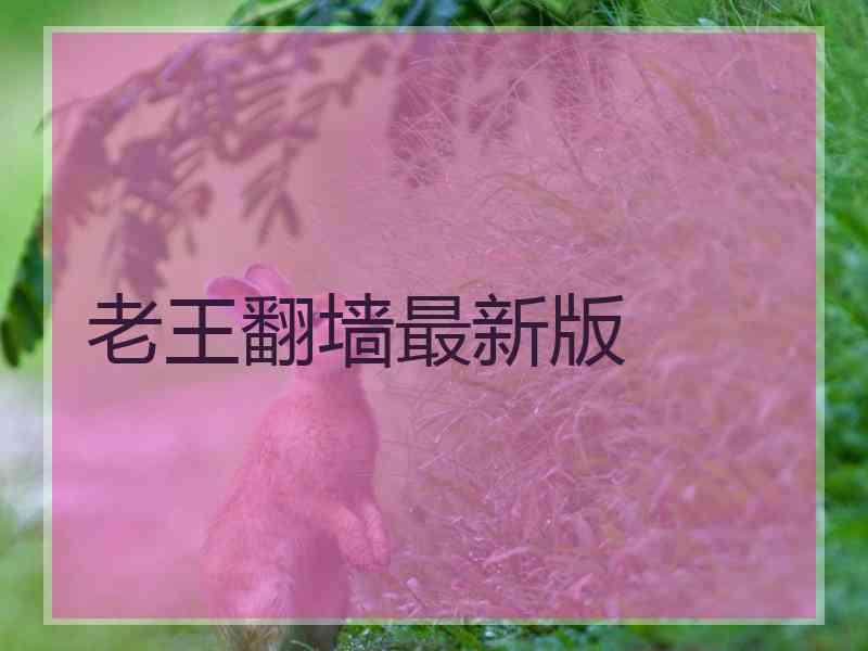 老王翻墙最新版