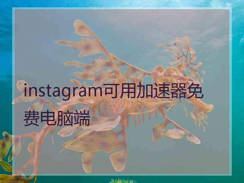 instagram可用加速器免费电脑端