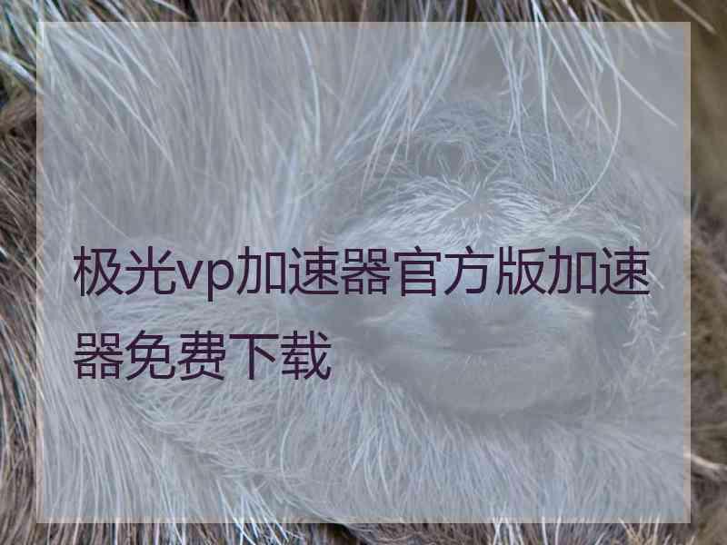 极光vp加速器官方版加速器免费下载