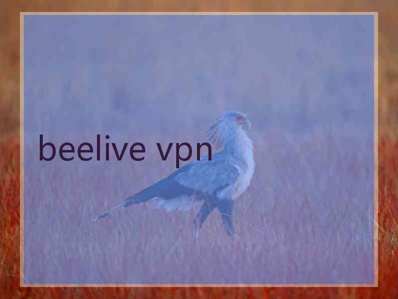 beelive vpn