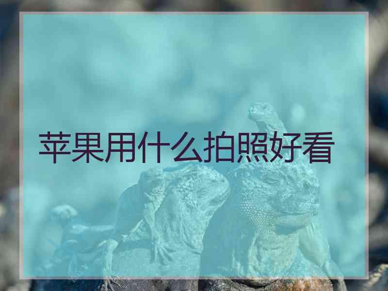 苹果用什么拍照好看