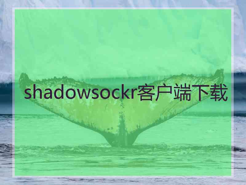 shadowsockr客户端下载