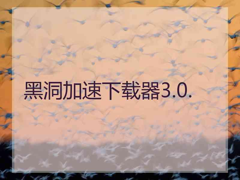 黑洞加速下载器3.0.