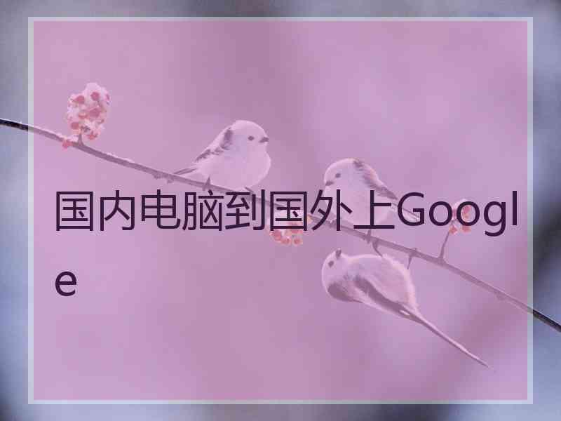 国内电脑到国外上Google