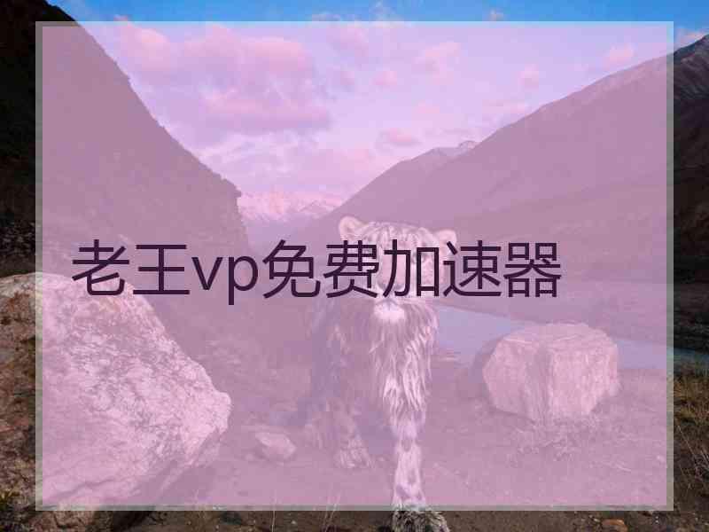 老王vp免费加速器