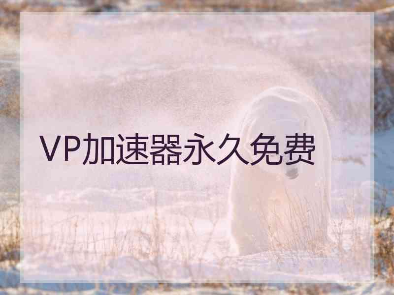 VP加速器永久免费