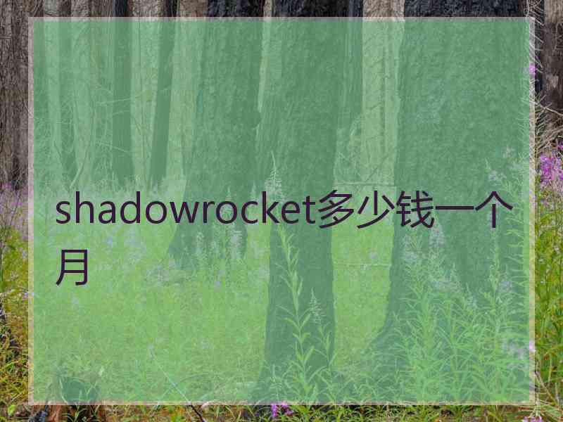 shadowrocket多少钱一个月