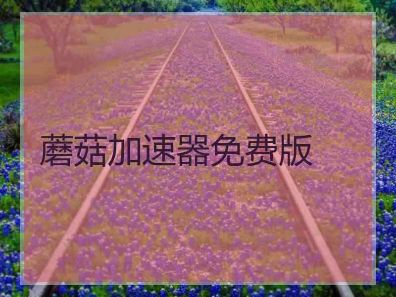 蘑菇加速器免费版