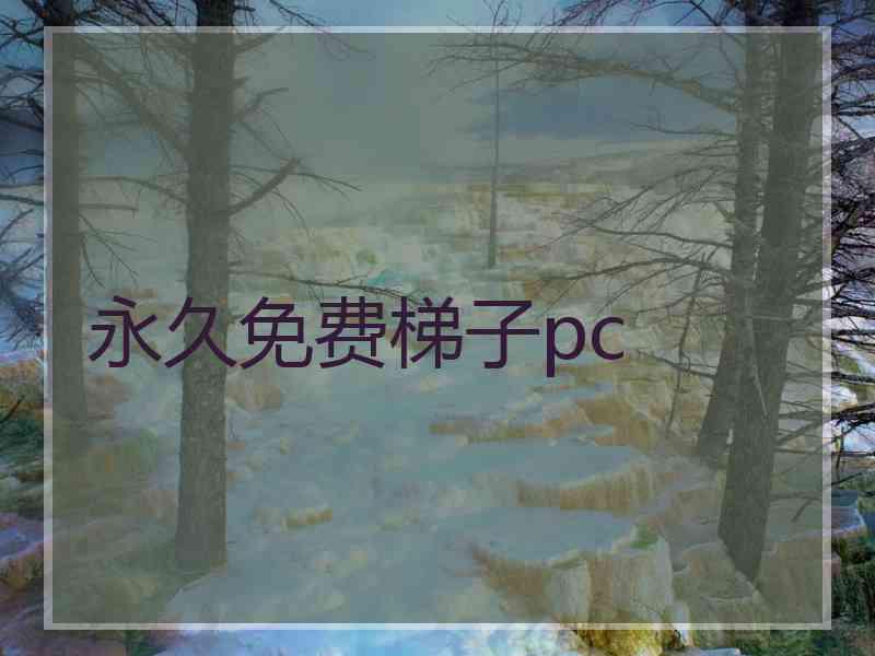 永久免费梯子pc