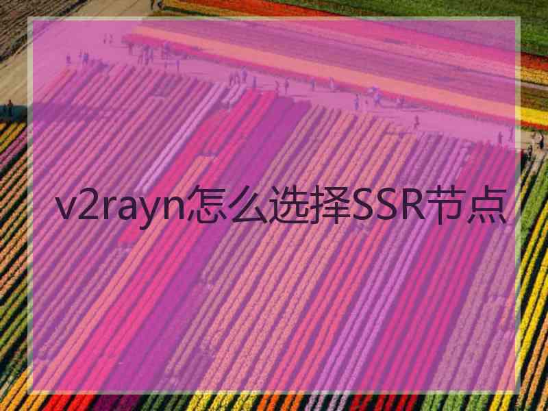 v2rayn怎么选择SSR节点