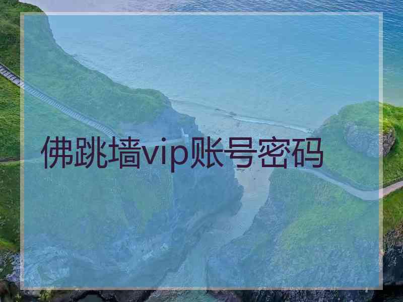 佛跳墙vip账号密码