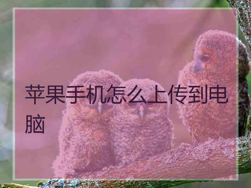 苹果手机怎么上传到电脑