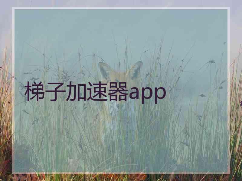 梯子加速器app