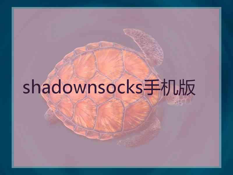 shadownsocks手机版