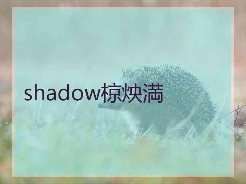 shadow椋炴満