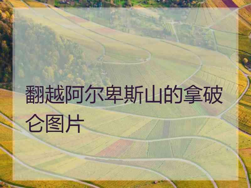 翻越阿尔卑斯山的拿破仑图片