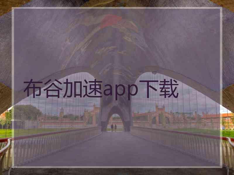 布谷加速app下载