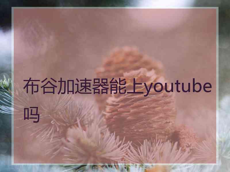 布谷加速器能上youtube吗