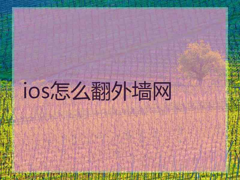 ios怎么翻外墙网