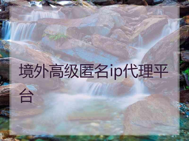 境外高级匿名ip代理平台