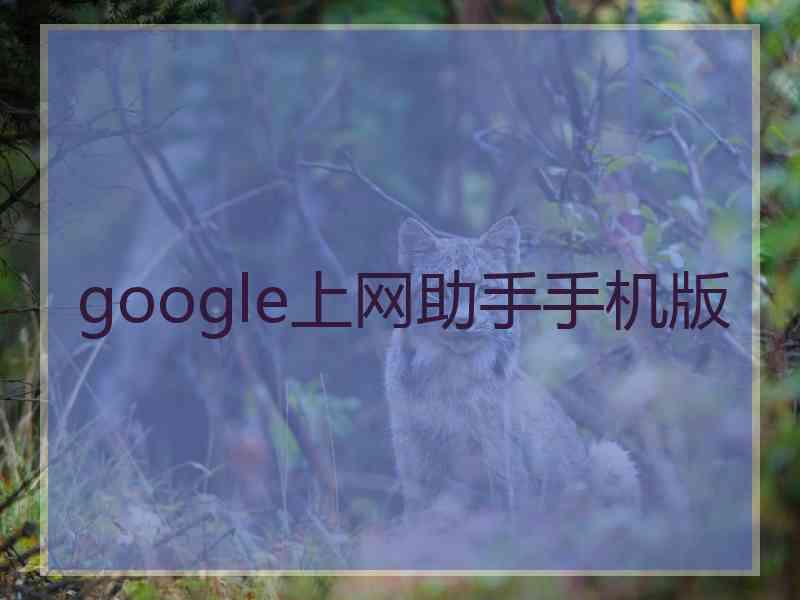 google上网助手手机版